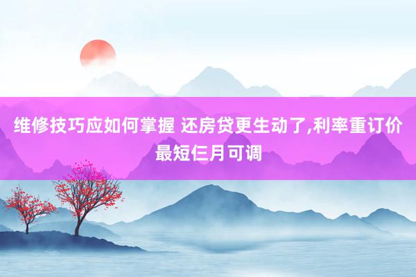 维修技巧应如何掌握 还房贷更生动了,利率重订价最短仨月可调