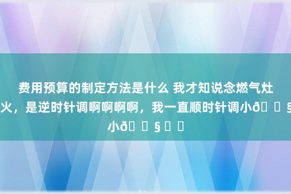 费用预算的制定方法是什么 我才知说念燃气灶调小火，是逆时针调啊啊啊啊，我一直顺时针调小😧 ​​