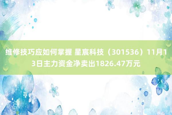 维修技巧应如何掌握 星宸科技（301536）11月13日主力资金净卖出1826.47万元