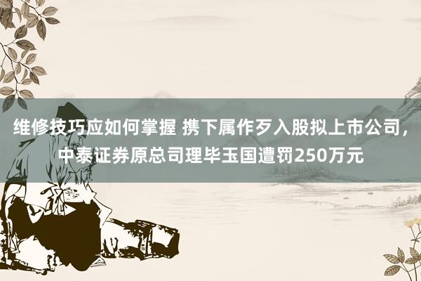 维修技巧应如何掌握 携下属作歹入股拟上市公司，中泰证券原总司理毕玉国遭罚250万元