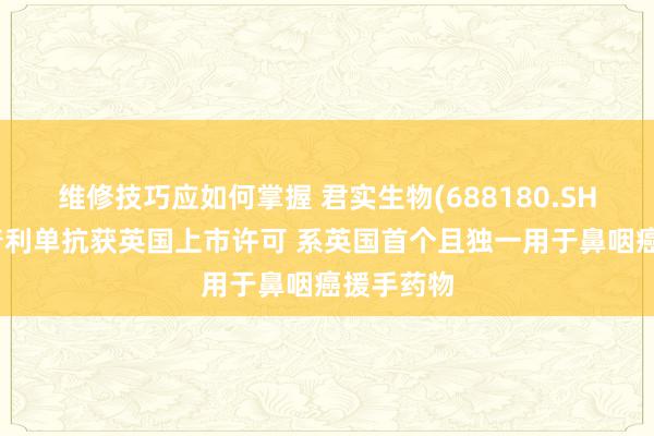 维修技巧应如何掌握 君实生物(688180.SH)：特瑞普利单抗获英国上市许可 系英国首个且独一用于鼻咽癌援手药物