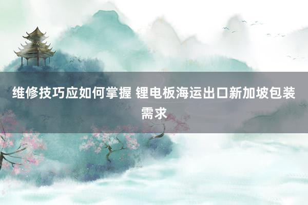 维修技巧应如何掌握 锂电板海运出口新加坡包装需求