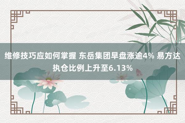 维修技巧应如何掌握 东岳集团早盘涨逾4% 易方达执仓比例上升至6.13%