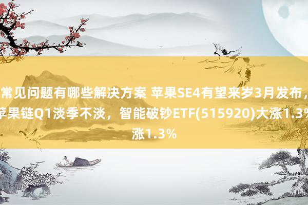 常见问题有哪些解决方案 苹果SE4有望来岁3月发布，苹果链Q1淡季不淡，智能破钞ETF(515920)大涨1.3%