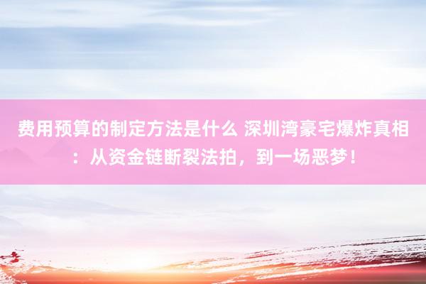 费用预算的制定方法是什么 深圳湾豪宅爆炸真相：从资金链断裂法拍，到一场恶梦！