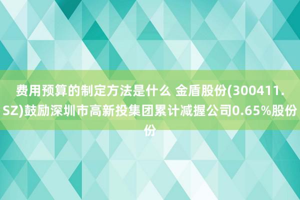 费用预算的制定方法是什么 金盾股份(300411.SZ)鼓励深圳市高新投集团累计减握公司0.65%股份