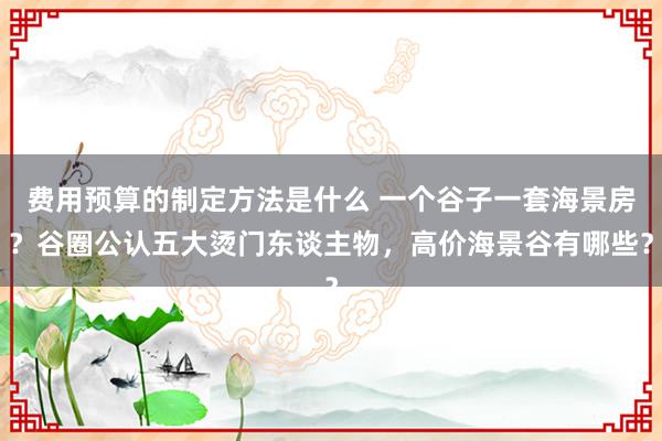 费用预算的制定方法是什么 一个谷子一套海景房？谷圈公认五大烫门东谈主物，高价海景谷有哪些？