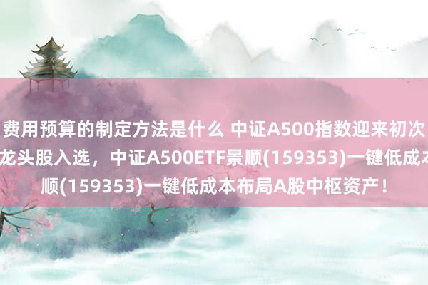 费用预算的制定方法是什么 中证A500指数迎来初次调仓！4只千亿市值龙头股入选，中证A500ETF景顺(159353)一键低成本布局A股中枢资产！