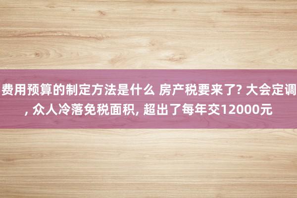 费用预算的制定方法是什么 房产税要来了? 大会定调, 众人冷落免税面积, 超出了每年交12000元