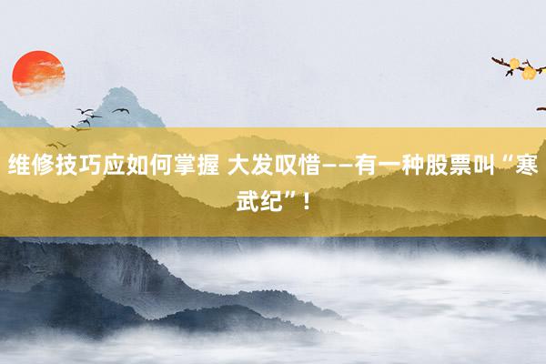 维修技巧应如何掌握 大发叹惜——有一种股票叫“寒武纪”!