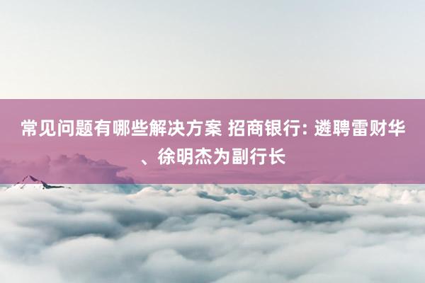 常见问题有哪些解决方案 招商银行: 遴聘雷财华、徐明杰为副行长