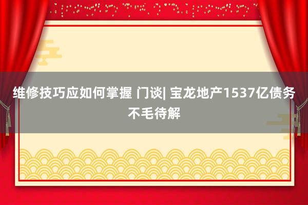 维修技巧应如何掌握 门谈| 宝龙地产1537亿债务不毛待解