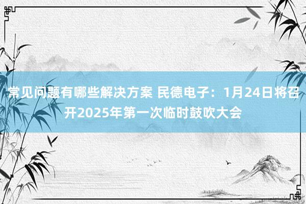 常见问题有哪些解决方案 民德电子：1月24日将召开2025年第一次临时鼓吹大会