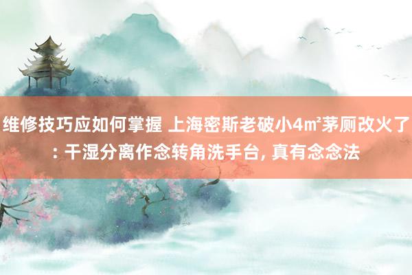 维修技巧应如何掌握 上海密斯老破小4㎡茅厕改火了: 干湿分离作念转角洗手台, 真有念念法