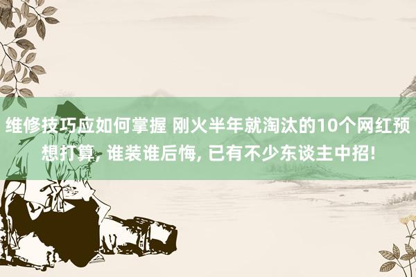 维修技巧应如何掌握 刚火半年就淘汰的10个网红预想打算, 谁装谁后悔, 已有不少东谈主中招!