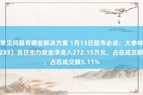 常见问题有哪些解决方案 1月13日股市必读：大参林（603233）当日主力资金净流入272.15万元，占总成交额5.11%