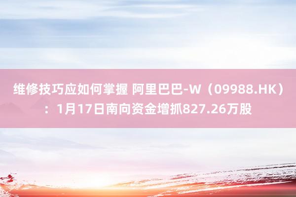 维修技巧应如何掌握 阿里巴巴-W（09988.HK）：1月17日南向资金增抓827.26万股