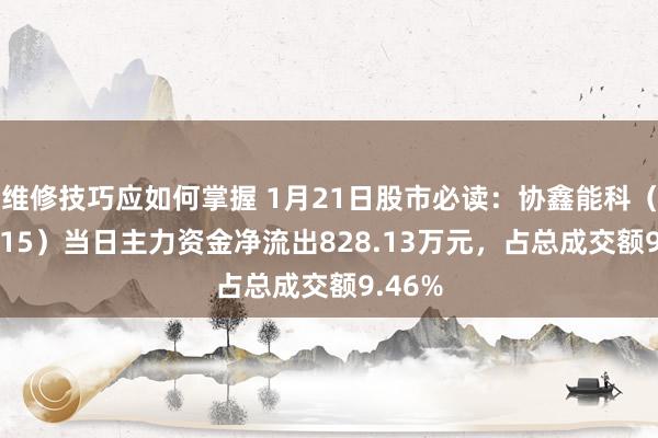 维修技巧应如何掌握 1月21日股市必读：协鑫能科（002015）当日主力资金净流出828.13万元，占总成交额9.46%