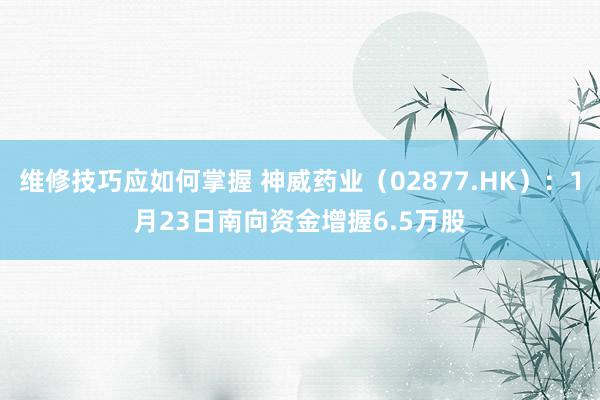 维修技巧应如何掌握 神威药业（02877.HK）：1月23日南向资金增握6.5万股