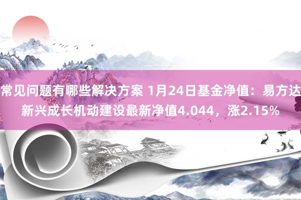 常见问题有哪些解决方案 1月24日基金净值：易方达新兴成长机动建设最新净值4.044，涨2.15%