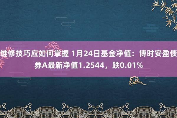 维修技巧应如何掌握 1月24日基金净值：博时安盈债券A最新净值1.2544，跌0.01%