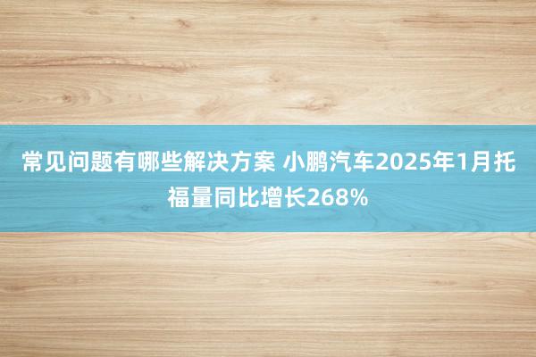 常见问题有哪些解决方案 小鹏汽车2025年1月托福量同比增长268%