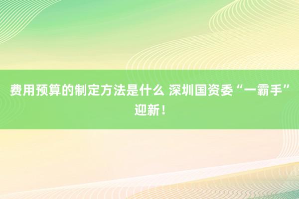 费用预算的制定方法是什么 深圳国资委“一霸手”迎新！