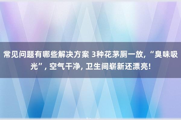 常见问题有哪些解决方案 3种花茅厕一放, “臭味吸光”, 空气干净, 卫生间崭新还漂亮!