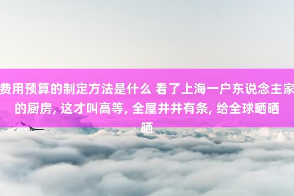 费用预算的制定方法是什么 看了上海一户东说念主家的厨房, 这才叫高等, 全屋井井有条, 给全球晒晒