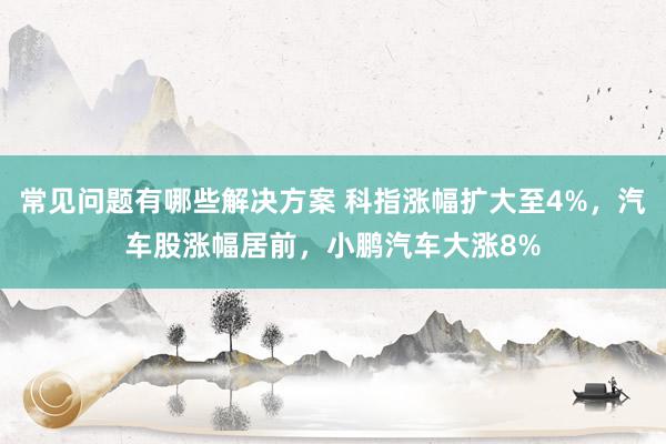 常见问题有哪些解决方案 科指涨幅扩大至4%，汽车股涨幅居前，小鹏汽车大涨8%