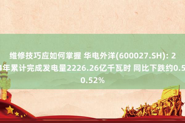 维修技巧应如何掌握 华电外洋(600027.SH): 2024年累计完成发电量2226.26亿千瓦时 同比下跌约0.52%