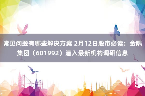 常见问题有哪些解决方案 2月12日股市必读：金隅集团（601992）潜入最新机构调研信息