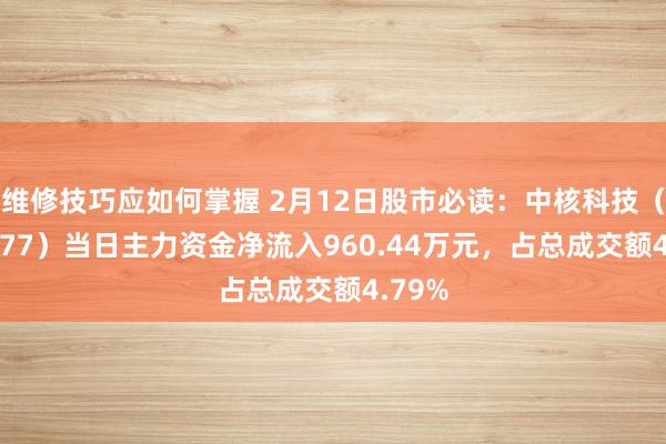 维修技巧应如何掌握 2月12日股市必读：中核科技（000777）当日主力资金净流入960.44万元，占总成交额4.79%