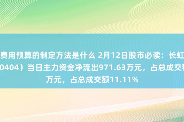 费用预算的制定方法是什么 2月12日股市必读：长虹华意（000404）当日主力资金净流出971.63万元，占总成交额11.11%