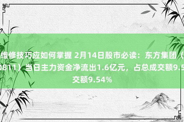 维修技巧应如何掌握 2月14日股市必读：东方集团（600811）当日主力资金净流出1.6亿元，占总成交额9.54%