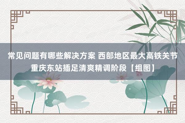 常见问题有哪些解决方案 西部地区最大高铁关节重庆东站插足清爽精调阶段【组图】