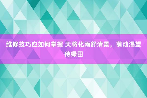 维修技巧应如何掌握 天将化雨舒清景，萌动渴望待绿田