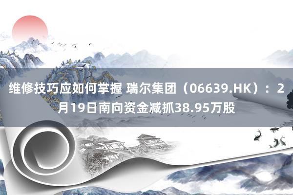 维修技巧应如何掌握 瑞尔集团（06639.HK）：2月19日南向资金减抓38.95万股