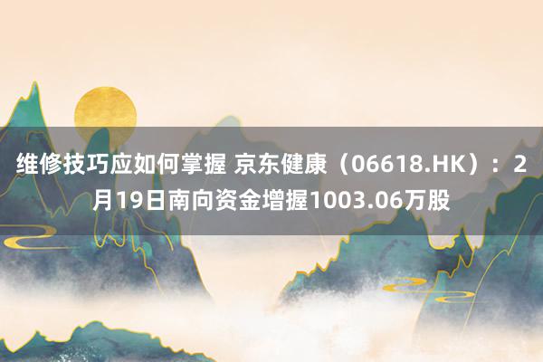 维修技巧应如何掌握 京东健康（06618.HK）：2月19日南向资金增握1003.06万股