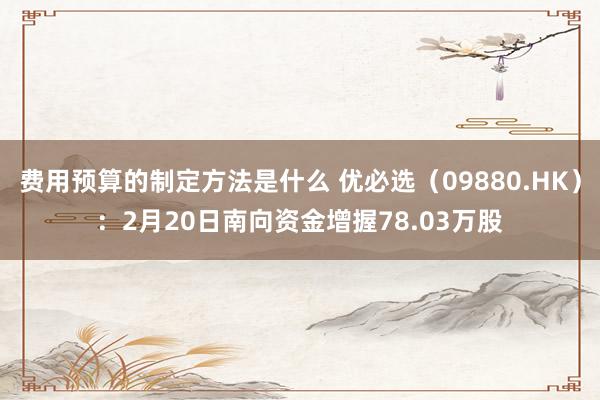 费用预算的制定方法是什么 优必选（09880.HK）：2月20日南向资金增握78.03万股