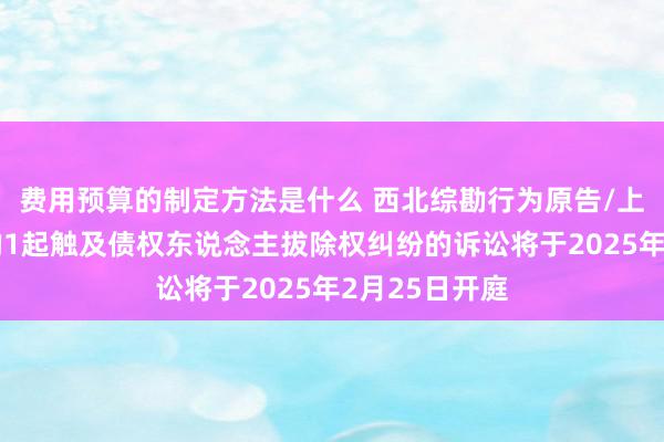 费用预算的制定方法是什么 西北综勘行为原告/上诉东说念主的1起触及债权东说念主拔除权纠纷的诉讼将于2025年2月25日开庭