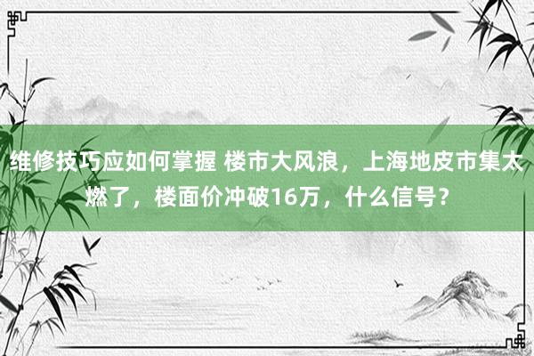 维修技巧应如何掌握 楼市大风浪，上海地皮市集太燃了，楼面价冲破16万，什么信号？