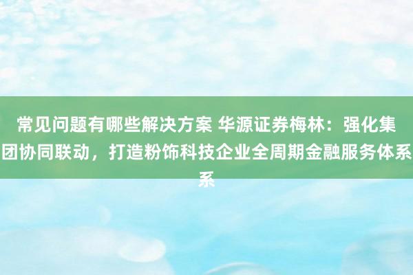 常见问题有哪些解决方案 华源证券梅林：强化集团协同联动，打造粉饰科技企业全周期金融服务体系