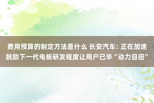 费用预算的制定方法是什么 长安汽车: 正在加速鼓励下一代电板研发程度让用户已毕“动力目田”