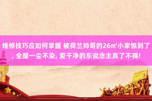 维修技巧应如何掌握 被荷兰帅哥的26㎡小家惊到了, 全屋一尘不染, 爱干净的东说念主真了不得!