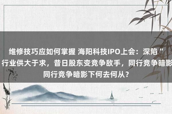 维修技巧应如何掌握 海阳科技IPO上会：深陷“骗贷”风云，行业供大于求，昔日股东变竞争敌手，同行竞争暗影下何去何从？