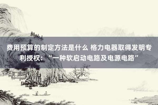 费用预算的制定方法是什么 格力电器取得发明专利授权：“一种软启动电路及电源电路”