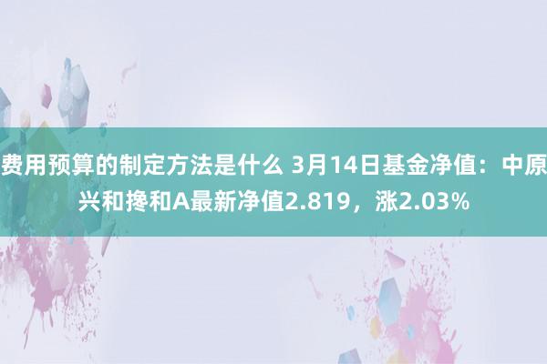 费用预算的制定方法是什么 3月14日基金净值：中原兴和搀和A最新净值2.819，涨2.03%