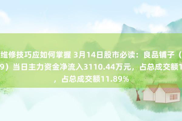 维修技巧应如何掌握 3月14日股市必读：良品铺子（603719）当日主力资金净流入3110.44万元，占总成交额11.89%