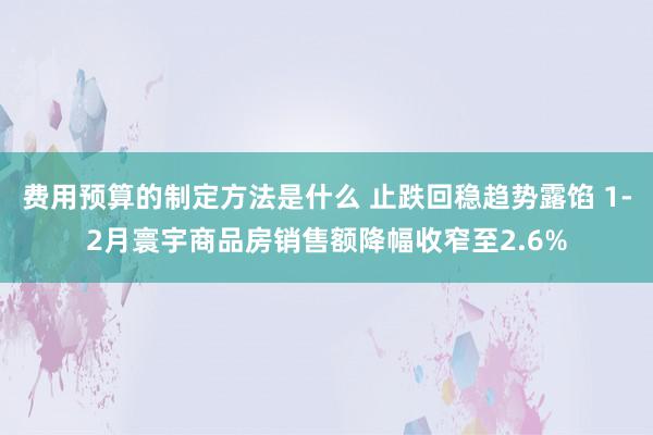 费用预算的制定方法是什么 止跌回稳趋势露馅 1-2月寰宇商品房销售额降幅收窄至2.6%